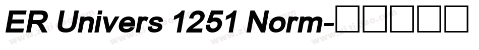ER Univers 1251 Norm字体转换